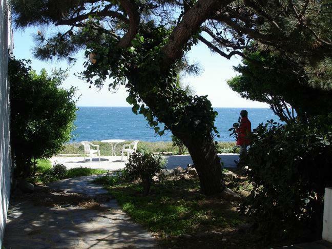 Estrella Del Mar Apartment El Port De La Selva Екстериор снимка